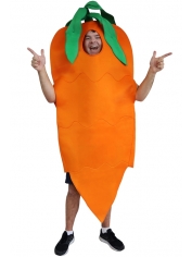 Carrot Costume - Adult Food Costume Drink Costume